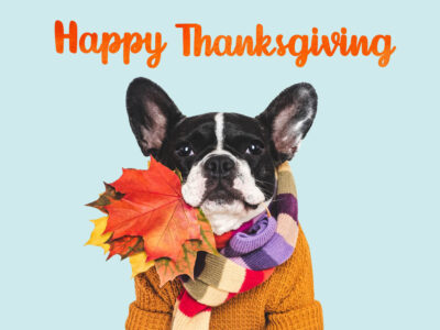 iStock-2239581329 - Co>Op Connect Happy Thanksgiving from the Co-op Connect Team!